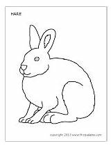 Hare Arctic Coloring Drawing Rabbit 200px 62kb Open sketch template