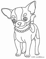 Chihuahua Coloring Pages Dog Color Chiwawa Print Hellokids Para Printable sketch template