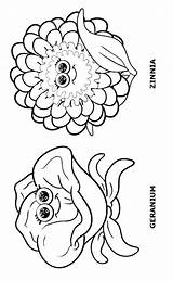 Coloring Pages Flower Zinnia Scout Girl Getcolorings Daisy sketch template
