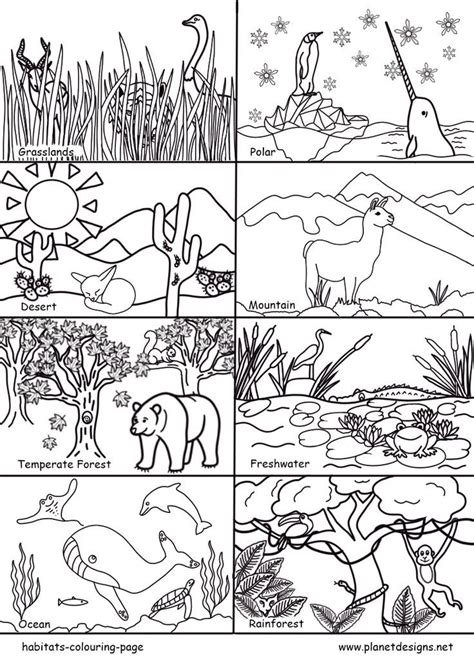 habitats colouring page animal habitats preschool habitat activities