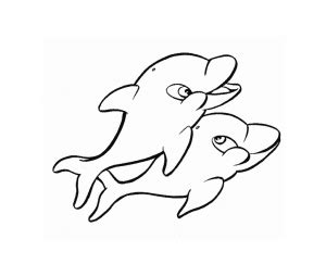 dolphins  printable coloring pages  kids page