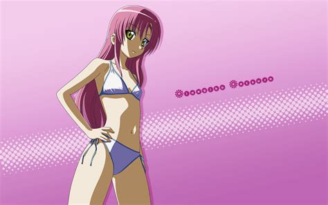 Bikini Hayate No Gotoku Katsura Hinagiku Purple Swimsuit