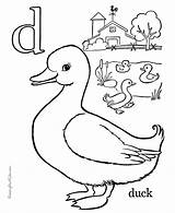 Duck Coloring Pages Preschool Alphabet Farm Printable Animal Dinosaur Kids Choose Board Abc sketch template
