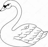 Swan Coloring Pages Printable Drawing Stock Bird Vector Illustration Lake Outline Template Colouring Color Patterns Google Crafts Easy Pattern Depositphotos sketch template