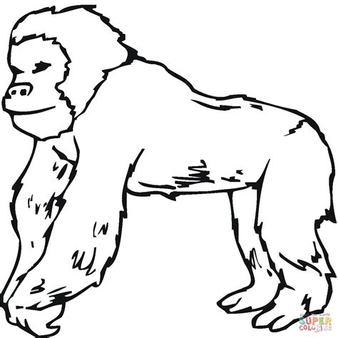 gorilla template drawing supercoloringcom  drawings art
