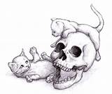 Skull Drawings Cool Drawing Skulls Sketch Kittens Sketches Mushrooms Cats Funny Visit Step Simple sketch template