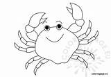 Crab Coloring Pages Coloringpage Eu Crabs Adult Digi Stamps Choose Board sketch template