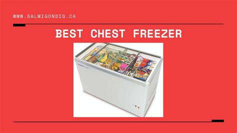[top 9] The Best Chest Freezer In Canada Reviews In 2023 Salmigondis