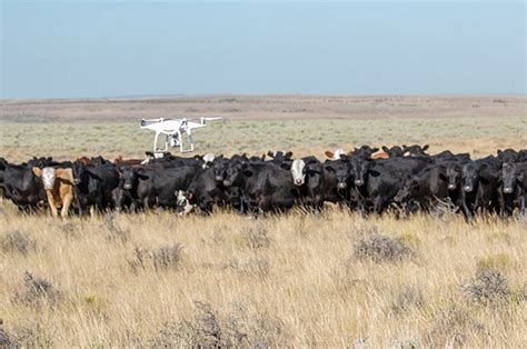 drones  st century ranch hand progressive cattle ag proud