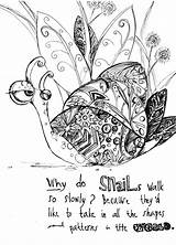 Snail Zentangle Caracoles sketch template