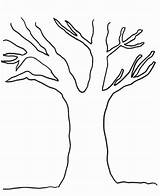 Tree Drawing Leaves Without Coloring Simple Trees Trunk Line Sketches Pages Drawings Winter Leaf Paintingvalley Kids Getdrawings Popular sketch template