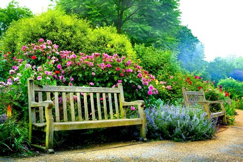 pink flower flower spring park man  bench  ultra hd