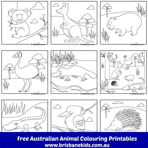 australian animals colouring pages brisbane kids australian animals