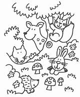 Coloring Forest Animals Pages Woodland Animal Kids Cute Color Printable Sheets Colouring Fall Worksheets Bosdieren Theme Kleurplaat Preschool Print Deciduous sketch template
