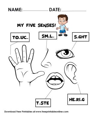 senses learn   senses activity sheets   senses