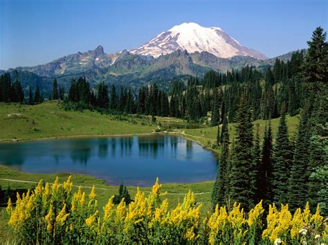 mountain vegetation biomes