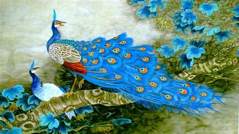 Indian Blue Peacock Hd Wallpaper Get It Now Desktop Background