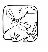 Coloring Pages Dragonfly Printable sketch template