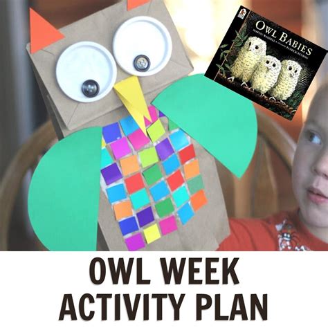 owl themed activities  preschoolers featuring owl babies