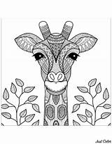 Coloring Giraffes Color Pages Children Print Simple Kids Justcolor sketch template