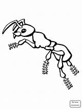 Getdrawings Ants Drawing sketch template