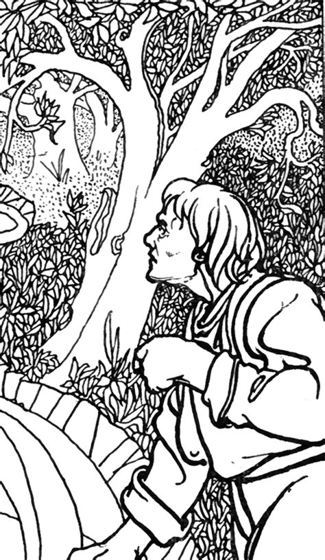 man    beautiful trees  jungle forest coloring pages