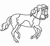 Caballo Cavalo Colorir Cavallo Cheval Dibujo Cavall Caballos Manchas Dibuix Desenhos Stampare Granja sketch template