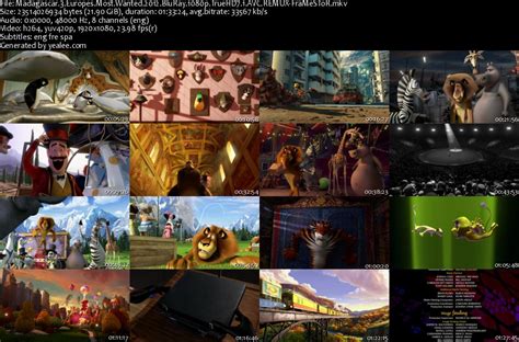 Download Hollywood Movie Madagascar 3 Europes Most Wanted