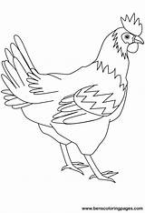 Hen Coloring Drawing Pages Hens Animals Kid Print Red Drawings Handout Below Please Click Paintingvalley sketch template
