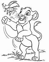 Simba Lion Coloring Pages King Getcoloringpages sketch template