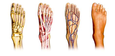 foot  ankle pain treatment physical therapists  schertz