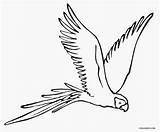 Parrot Coloring Pages Flying Printable Kids Cool2bkids Birds Drawing Bird Drawings Creativity Wings sketch template