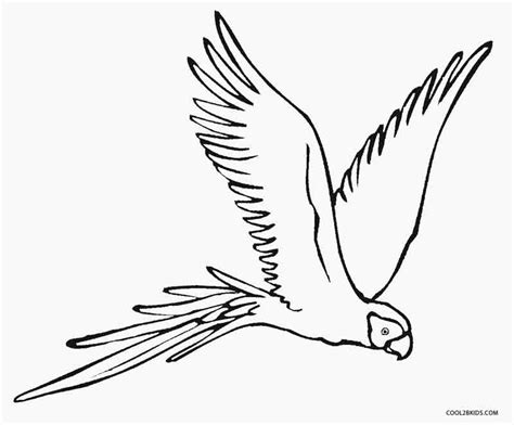 printable parrot coloring pages  kids coolbkids coloring pages