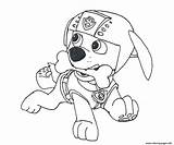 Zuma Patrol Paw Coloring Badge Template sketch template