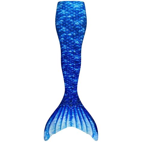 blue mermaid tail  swimming