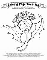 Scottish Coloring Pages Terrier Getcolorings Getdrawings sketch template