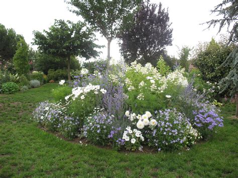 roses du jardin cheneland creation dun massif en bleu  blanc