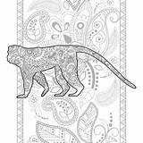 Coloritura Sforzo Rilascio Animale Disegnato Adulto Scarabocchio Zentangle sketch template