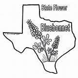 Texas Coloring Bluebonnet Pages Bluebonnets Sheets Color Longhorn Flag Print Bob Book Drawings State Drawing Blue Printable Sheet Bonnets Line sketch template