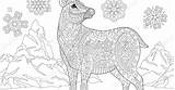 Mandala Reindeer Coloring Pages sketch template