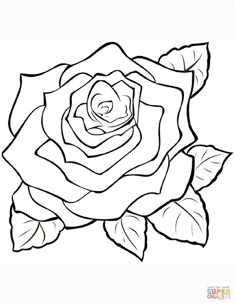 rose coloring page  printable coloring pages