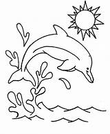 Golfinhos Colorir Dolphin Desenhos Delfines Golfinho Riscos Designlooter Delfini sketch template