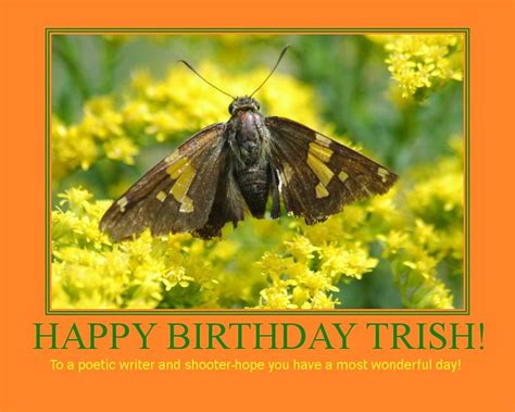 happy birthday trish flickr photo sharing