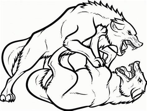 wolf fight coloring page coloring book  coloring pages