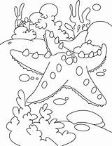 Starfish Coloring Pages Color Outline Bahamas Fish Star Print Rest Kids Getdrawings Coloring2print sketch template