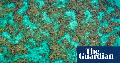 The Great Barrier Reef From The Sky In Pictures Art And Design