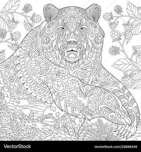 grizzly bear adult coloring page royalty  vector image
