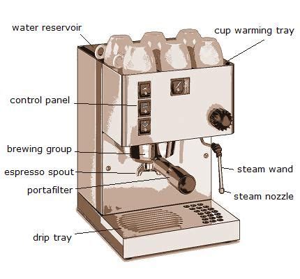 delonghi espresso machine parts vaughn bisson