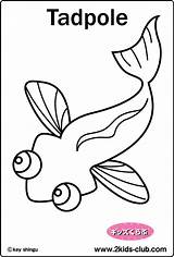 Tadpole Template Coloring sketch template