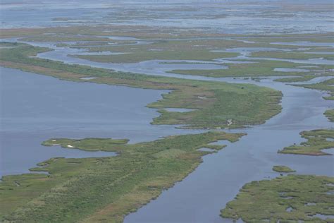 picture aerial marsh swamp landscape